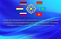 Учебно-методическое совещание в Образовательном комплексе полиции РА